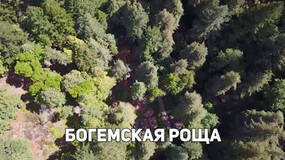 Богемская роща