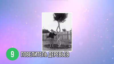 Повелитель деревьев