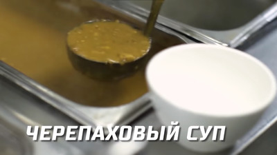 Черепаховый суп