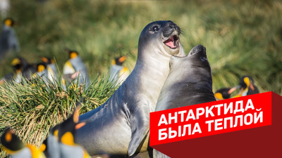 Антарктида была теплой