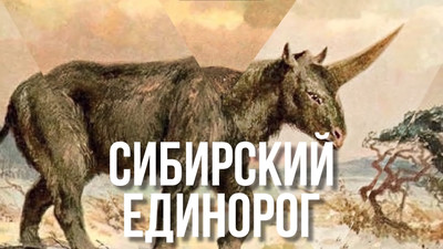 Сибирский единорог